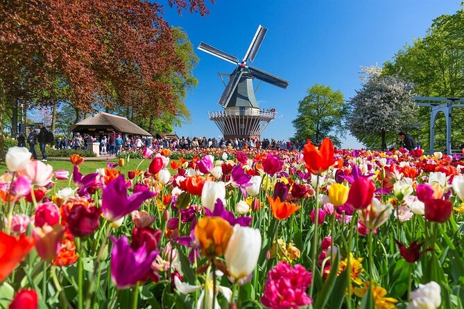 Amsterdam: Day trip to Tulip Farm, Keukenhof + Windmill Cruise - Keukenhof in four hours: how to handle the crowds without missing the point