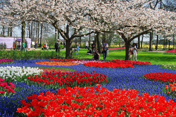 Amsterdam: Day trip to Tulip Farm, Keukenhof + Windmill Cruise - What you’re paying for: value in transport, tickets, and real planning