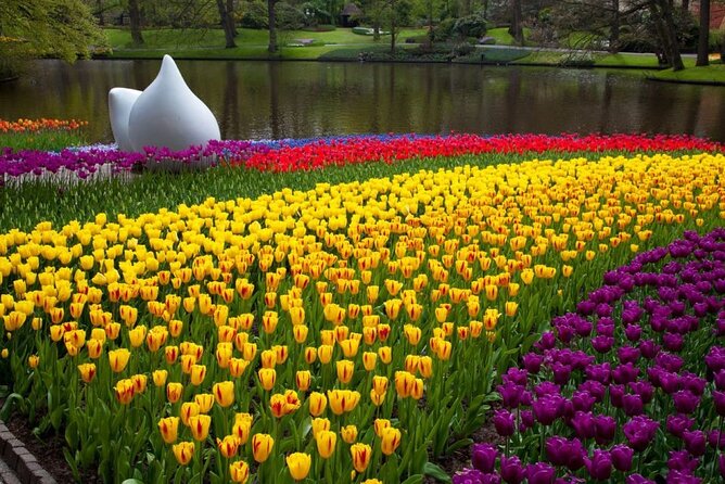 Amsterdam: Day trip to Tulip Farm, Keukenhof + Windmill Cruise - Comfort, timing, and group size: how to stay relaxed all day