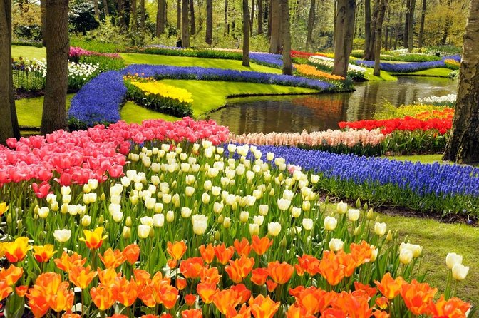 Amsterdam: Keukenhof and Zaanse Schans Windmills Guided Day Trip - Key Points You’ll Care About Before Booking