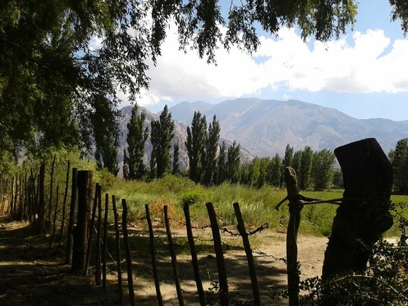 Andes Day Trip from Mendoza Including Aconcagua, Uspallata and Puente del Inca - Key highlights at a glance