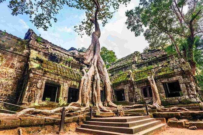 Angkor Wat Private Day Tour from Siem Reap - The value question: $49 plus the Angkor ticket you still need