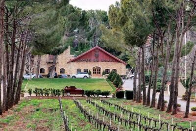 Anjar, Baalbek & Ksara Day Trip - With Lunch (4G on Board) - Lebanese mezze lunch near Zahle: Fueling the afternoon without slowing it down