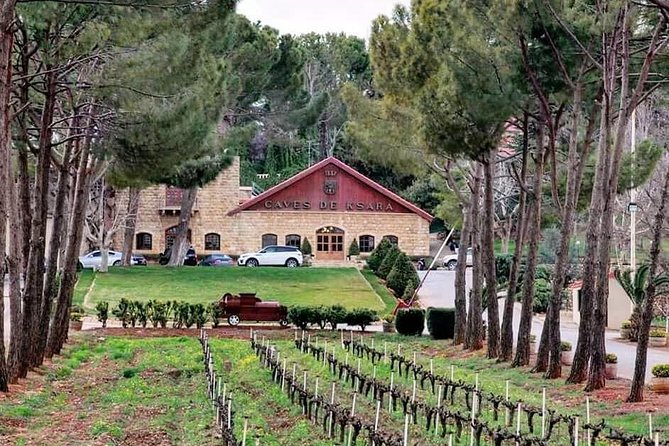 Anjar, Baalbek & Ksara Day Trip - With Lunch (4G on Board) - Lebanese mezze lunch near Zahle: Fueling the afternoon without slowing it down