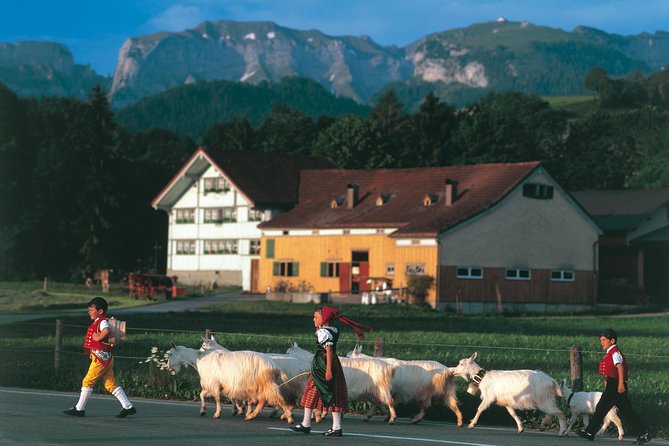 Appenzell Alps Day Trip from Zurich – Farm Life & Cheese Tasting - The Stein farm stop: fresh milk and working dairy life