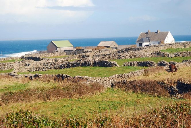 Aran Islands Bike Tour with Tea & Scones - Day Trip to Inisheer from Doolin - Doolin Pier to Inisheer: the short ferry jump that sets the tone