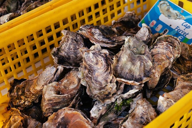 Arcachon Bay Full Day Trip from Bordeaux with lunch and Pyla Dune - Gujan-Mestras port lunch: oysters or shrimp, with wine