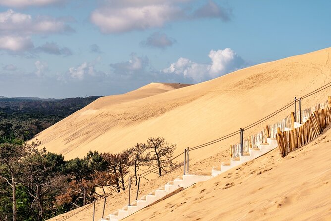 Arcachon Bay Full Day Trip from Bordeaux with lunch and Pyla Dune - The small-group effect: English guiding, Q&A, and real pacing
