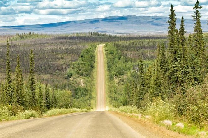 Arctic Circle Day Tour - Key things to know before you go