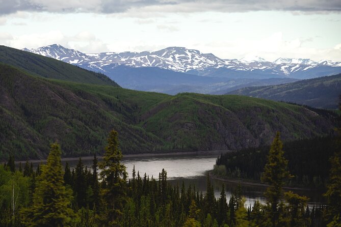 Arctic Circle Day Tour - Arctic Circle Day Tour from Fairbanks: what you’re really buying