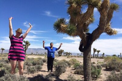 Area 51 Day Tour from Las Vegas with Alien and UFO Hotspots - Little A’Le’Inn Lunch Break: Alien Burger and Souvenir-Run Energy