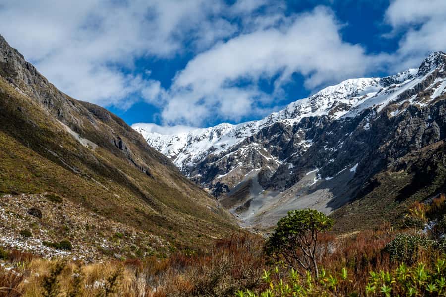 Arthur's Pass Day Tour From Christchurch with TranzAlpine - Price and Value: Is $258 a Fair Deal?