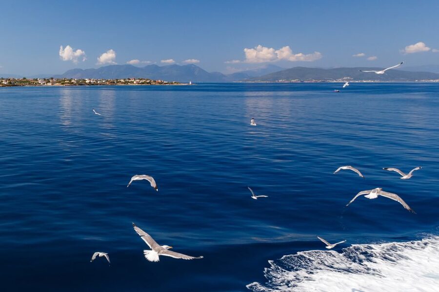 Athens: Guided Day Trip to Aegina Island with Swimming - Who should book this Aegina swim day trip