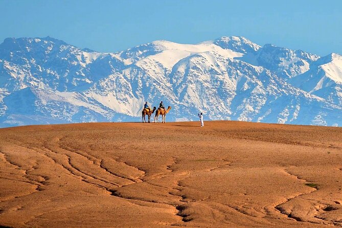 Atlas Mountains and Three Valleys & Waterfalls - Villages Marrakech Day Trip - Camel ride in the Atlas: fun, a little bumpy, and a surprise length