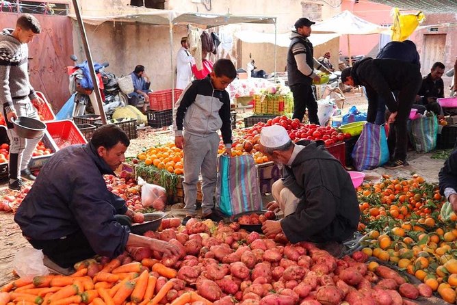 Atlas Mountains and Three Valleys & Waterfalls with Camel ride Day Trip - Key points you’ll care about