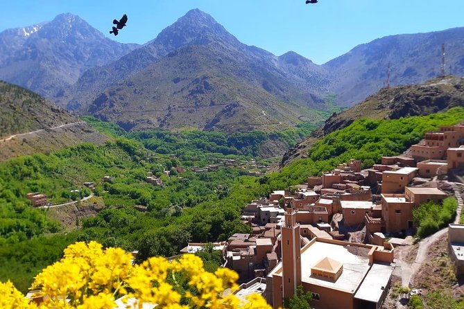 Atlas Mountains and Three Valleys & Waterfalls with Camel ride Day Trip - Marrakech to the High Atlas: the pacing that makes it feel worth it
