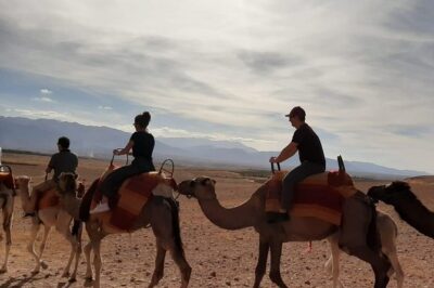 Atlas Mountains and Three Valleys & Waterfalls with Camel ride Day Trip - Imlil tea welcome: small moment, big difference