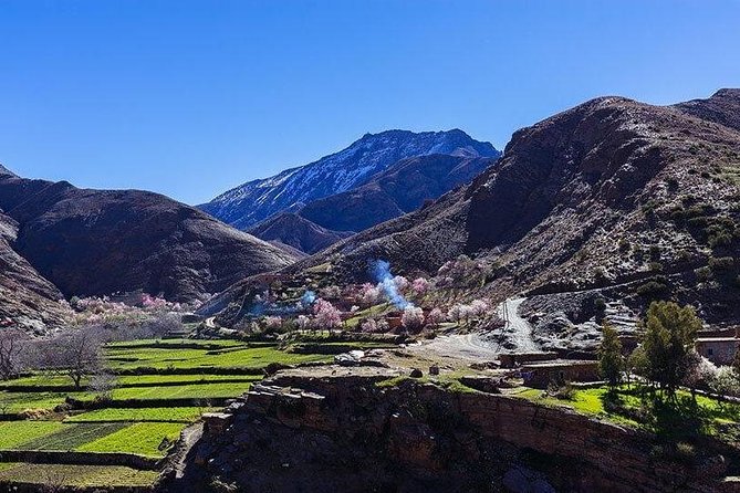 Atlas Mountains and Three Valleys & Waterfalls with Camel ride Guided Day Trip - Mazik Village Berber home visit: real life, quick context