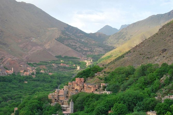 Atlas Mountains Day Trip with Camel Ride from Marrakech - Optional camel ride by Moulay Ibrahim River