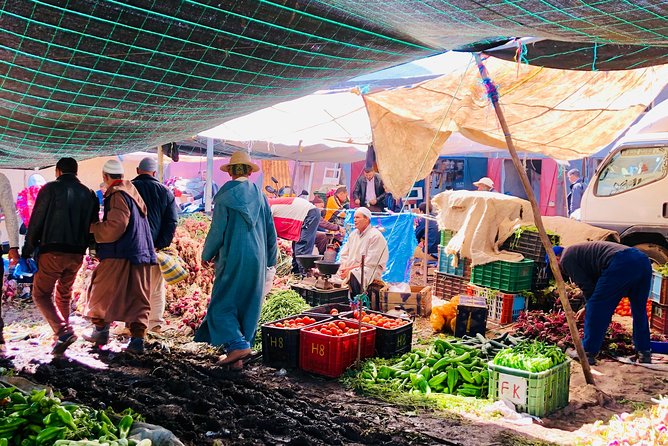 Atlas Mountains experience day trip - Why this Atlas Mountains day feels more like a local visit