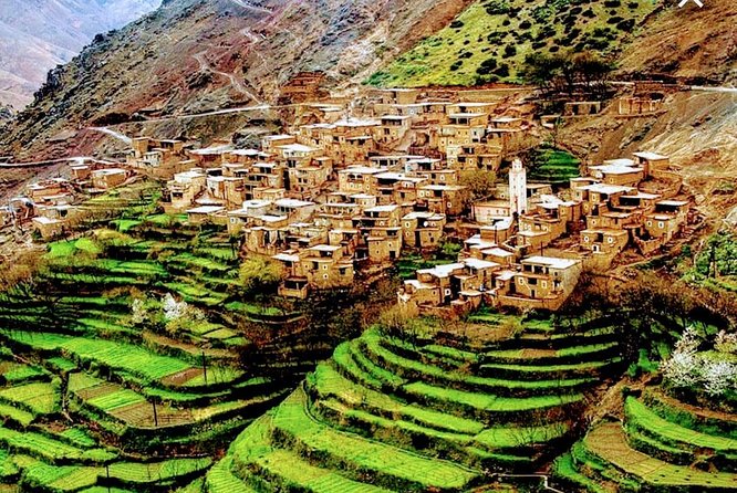 Atlas Mountains Ourika valley Day Tour from Marrakech - Key things that make this tour worth your time