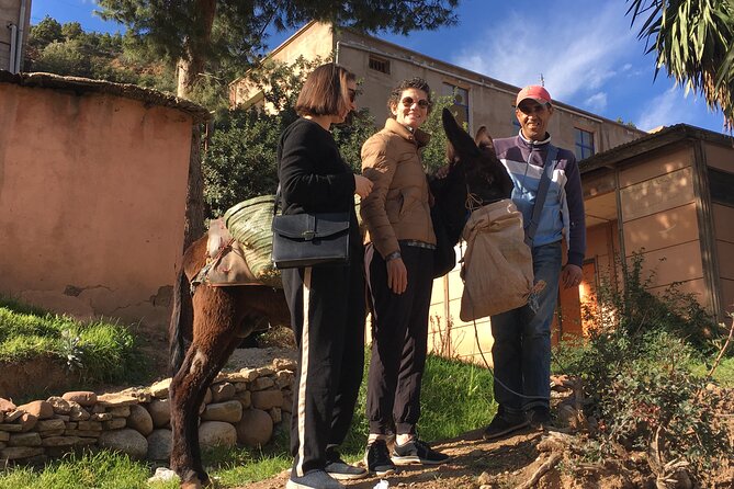 Atlas Mountains Ourika valley Day Tour from Marrakech - Price and value from Marrakech (the $87.24 reality check)