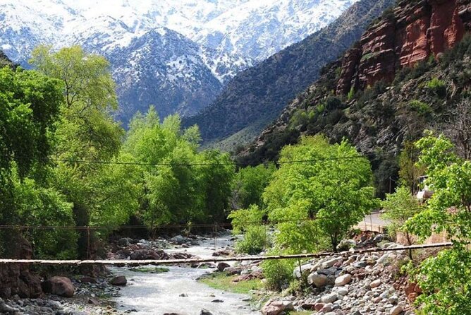 Atlas Mountains & Ourika Valley Private Day Trip From Marrakech - Berber tea-and-cake with a family: the real cultural payoff