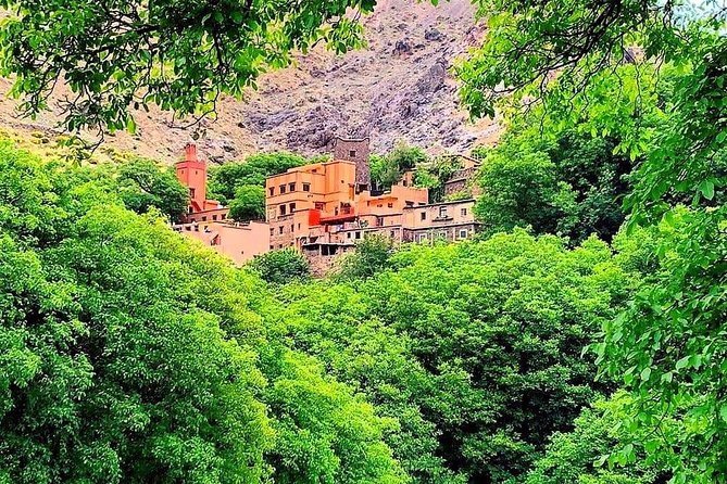 Atlas Mountains & Ourika Valley Private Day Trip From Marrakech - Camel ride included: fun, but wear the right shoes