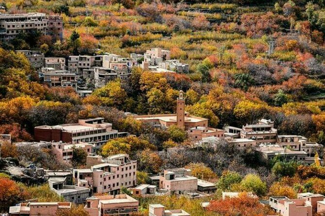 Atlas mountains privat day trip - Key Highlights You’ll Actually Feel During the Day