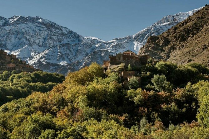 Atlas mountains privat day trip - Lalla Takerkoust and Asni: Lake-Edge Calm and High Atlas Foothills Life