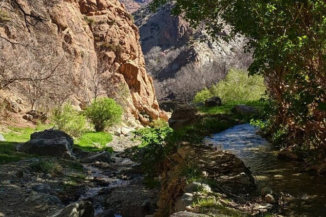Atlas Mountains & Waterfalls Day Trip from Marrakech - Who this is best for (and who should be cautious)