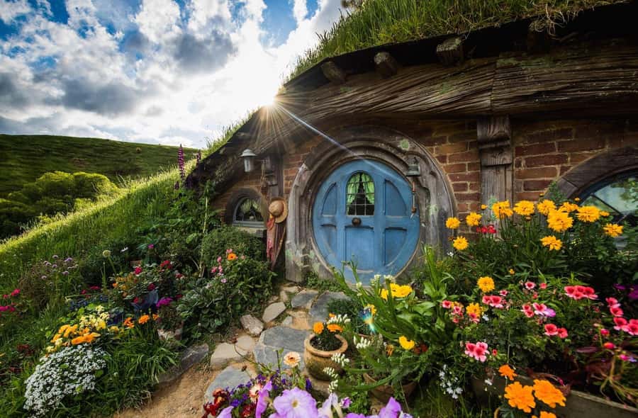 Auckland: Hobbiton Movie Set Day Trip with Festive Lunch - Auckland to Hobbiton by coach: Wi‑Fi, comfort, and real New Zealand talk