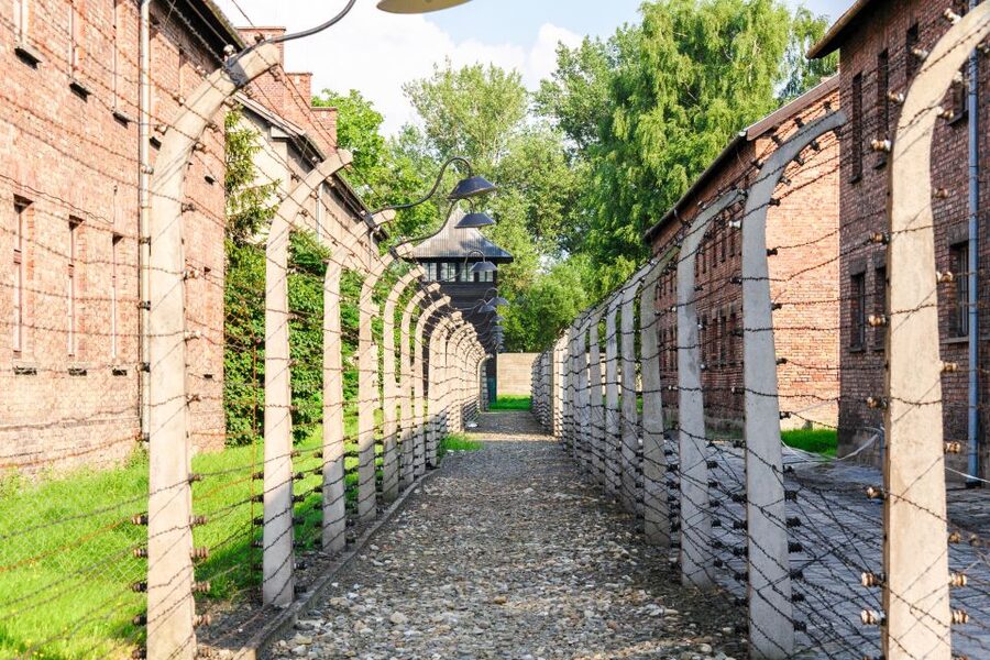 Auschwitz Ticket and Full-Day Tour from Krakow - How the Tour Works: Your Day in the Right Order
