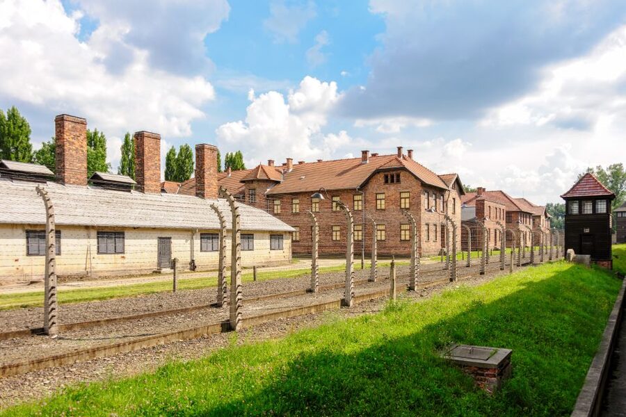 Auschwitz Ticket and Full-Day Tour from Krakow - Tickets, No Ticket Line, and Why It’s Worth $96