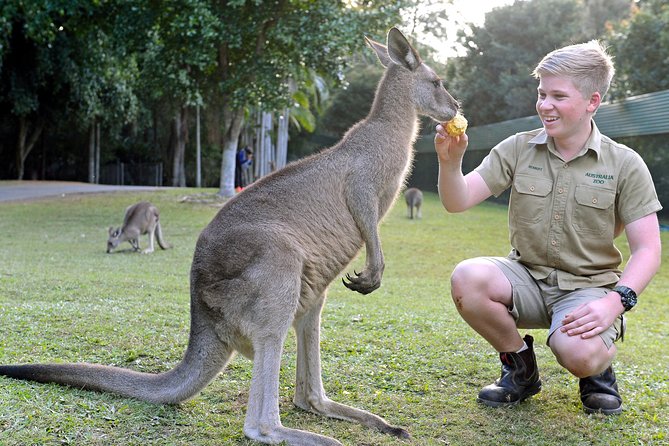 Australia Zoo Day Trip from Brisbane - Key Things That Matter Before You Go