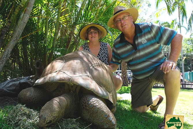 Australia Zoo Day Trip from Brisbane - Kangaroo Feeding: The Early-Start Trick That Changes Everything