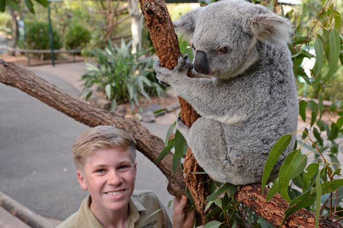 Australia Zoo Day Trip from Brisbane - Driver Guides Like Steve and Mark: Why the Ride Feels Worth It