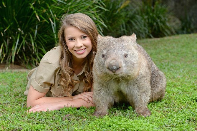 Australia Zoo Day Trip from Brisbane - The 7:30am Start: How to Time Your Morning