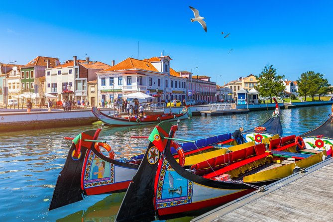 Aveiro and Costa Nova Half Day Tour from Porto with Boat Ride - Key highlights to know before you go