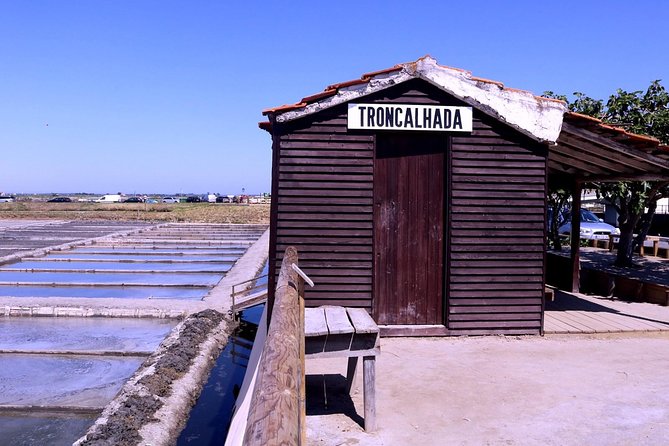 Aveiro and Costa Nova Half Day Tour from Porto with Boat Ride - Guides can make—or break—the vibe (and yes, language matters)