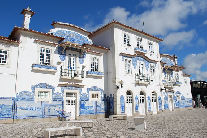 Aveiro and Costa Nova Half Day Tour from Porto with Boat Ride - Price and value: when $55.63 makes sense