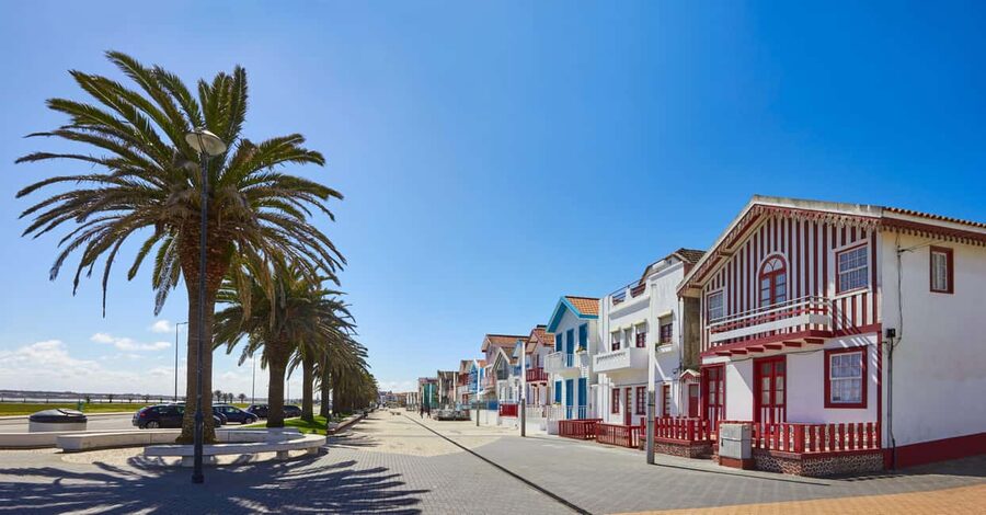 Aveiro: Half-Day Tour from Porto with Cruise - Aveiro on Foot After the Cruise: Use That Free Hour Like a Pro