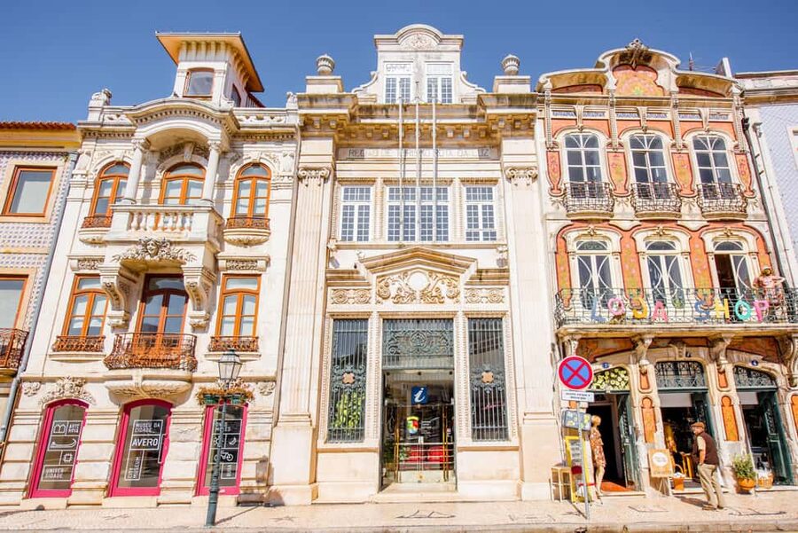 Aveiro: Half-Day Tour from Porto with Optional Cruise - Price and value: is $51 a good deal for this mix?