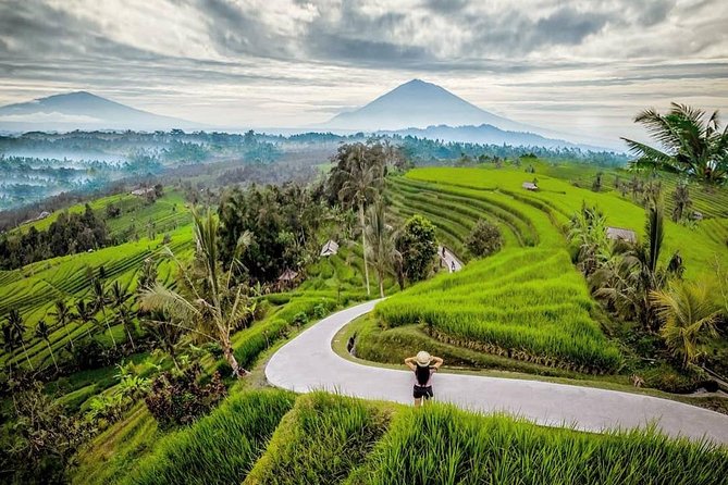 Bali BEST Things to Do Private Full-day Tour from Your Hotel - Price and logistics: what $44.50 buys (and what can surprise you)
