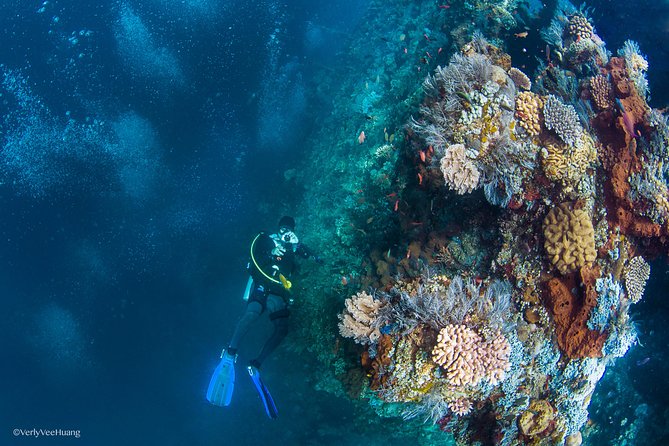 Bali Diving Day Trip-Manta Point/Tulamben Shipwreck-Fun Dive - USAT Liberty Wreck: Why This Site Works for First-Timers