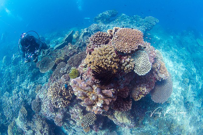 Bali Diving Day Trip-Manta Point/Tulamben Shipwreck-Fun Dive - How the Small Ratios Keep Your Scuba Day Comfortable