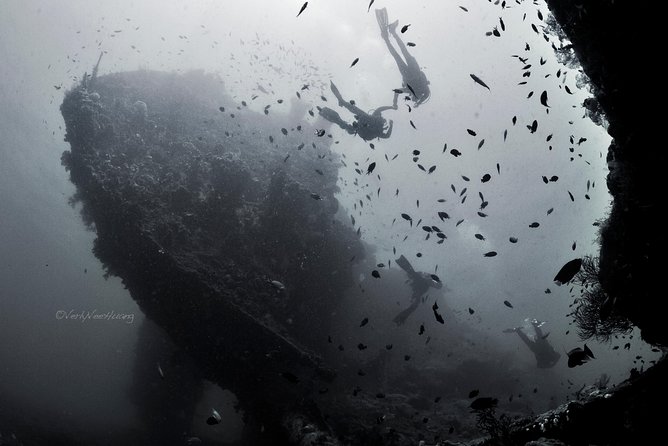 Bali Diving Day Trip-Manta Point/Tulamben Shipwreck-Fun Dive - From Seminyak Pickup to Sanur Return: The Day at a Glance