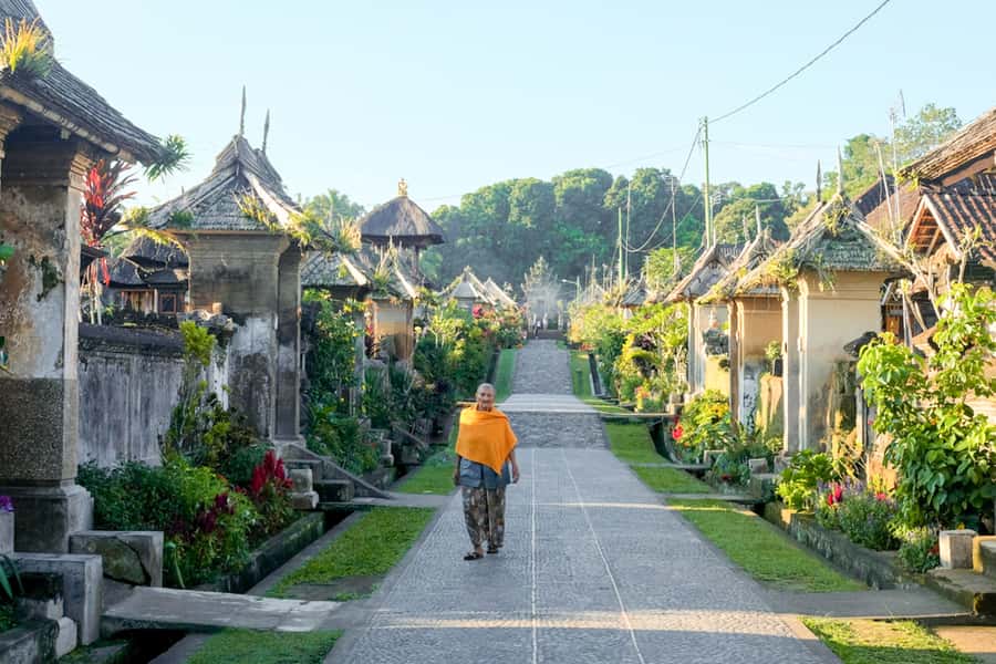 Bali: Full-Day Trip to Penglipuran Village and Bamboo Forest - Key highlights worth building your day around