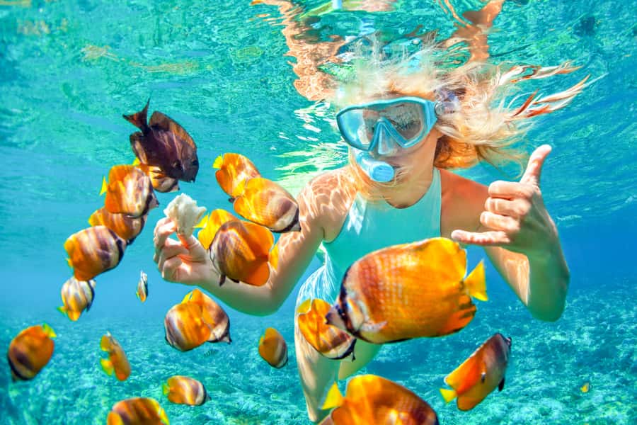Bali: Padangbai Blue Lagoon Snorkeling Day Trip - Blue Lagoon Snorkeling: reef scenery, fish, and turtle chances