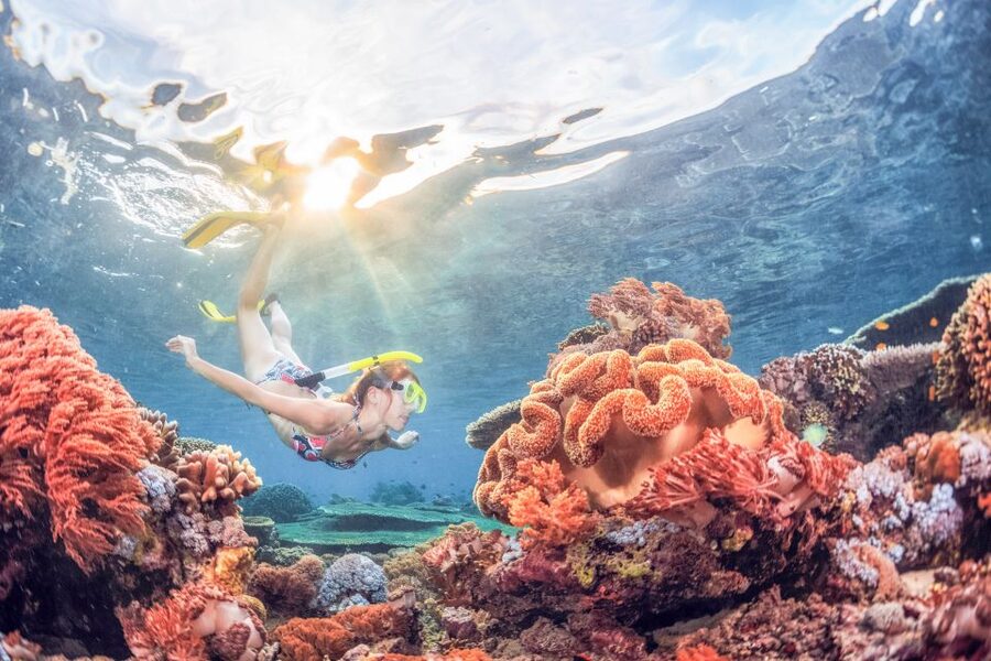 Bali: Padangbai Blue Lagoon Snorkeling Day Trip - Price and value: what $75 buys you in Bali
